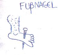 funagel.JPG (5232 bytes)
