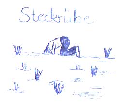 steckrbe.JPG (6995 bytes)